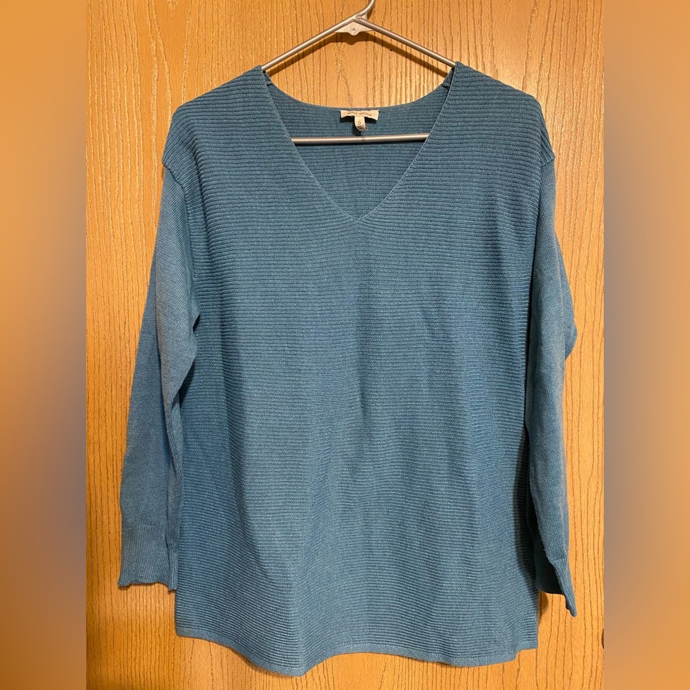 Warm blue sweater in good condition!